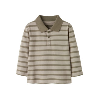 POLO ISLAND FOSSIL VERDE