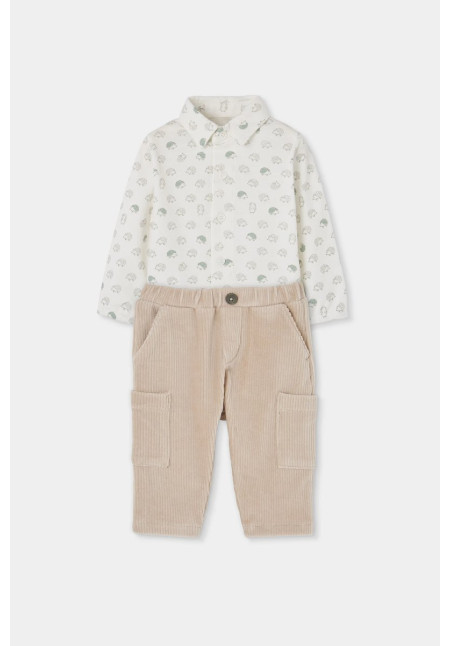 CONJUNTO ERIZOS