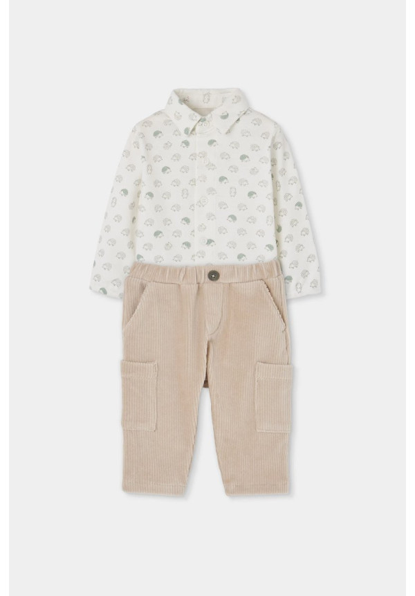 CONJUNTO ERIZOS