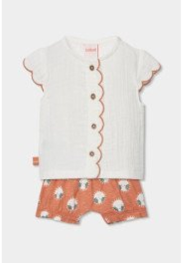 CONJUNTO TEJA