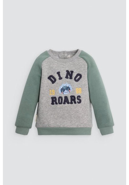 CONUNTO DINO ROARS