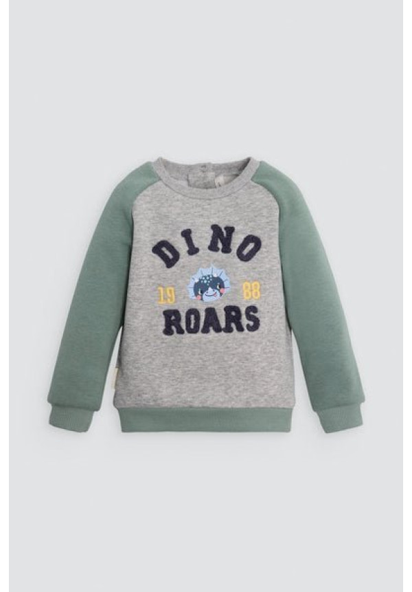 CONUNTO DINO ROARS