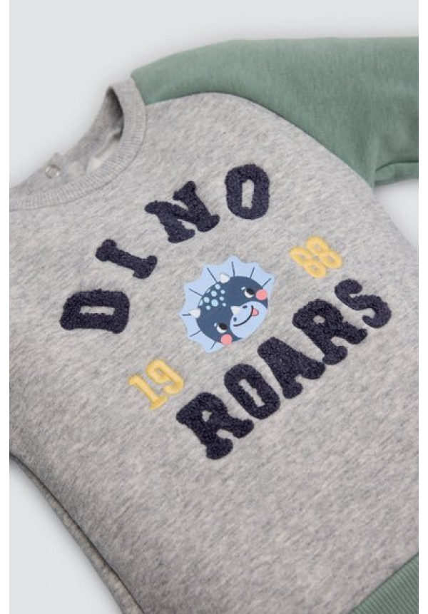 CONUNTO DINO ROARS