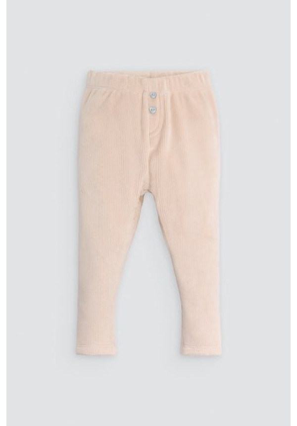 CONJUNTO SCHOOL