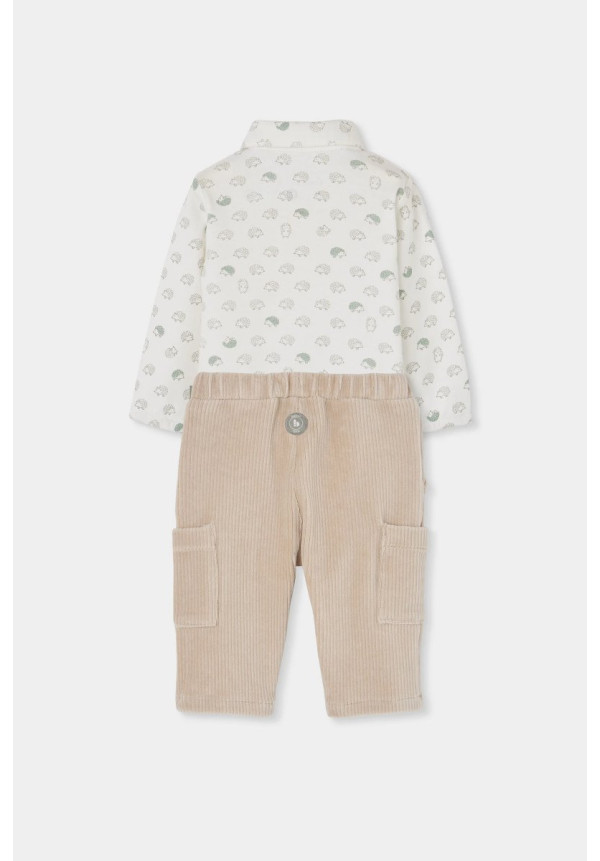 CONJUNTO ERIZOS
