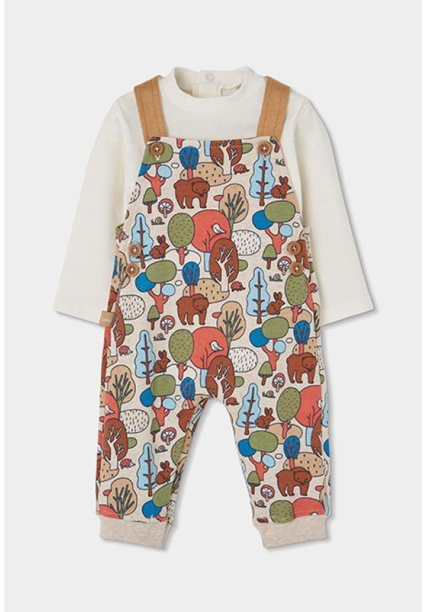 CONJUNTO PETO BOSQUE BOBOLI