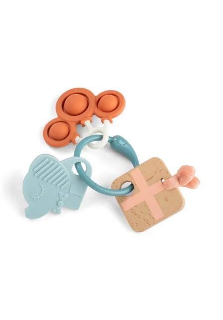 ACTIVITY SENSORY ELEFANTE