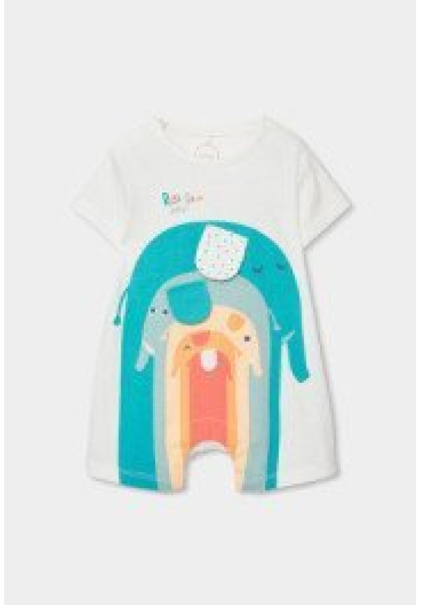 PELELE ELEFANTE ARCOIRIS
