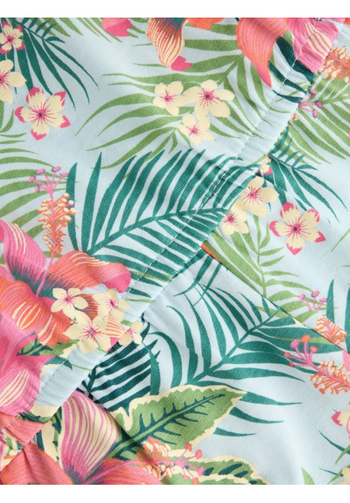 MONO TROPICAL